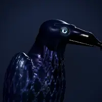 Storm Raven